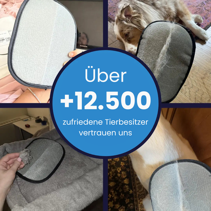 Petklein Bürste™